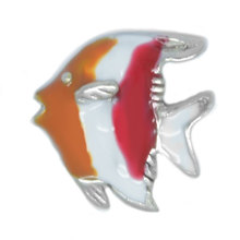 ORANGE & WHITE FISH